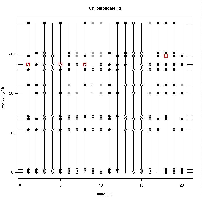 Plot of genotype data with
  potential errors flagged