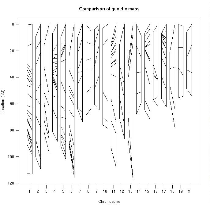 Plot of comparison of two genetic
  maps