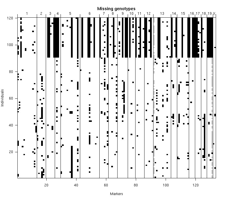 Plot of missing genotypes