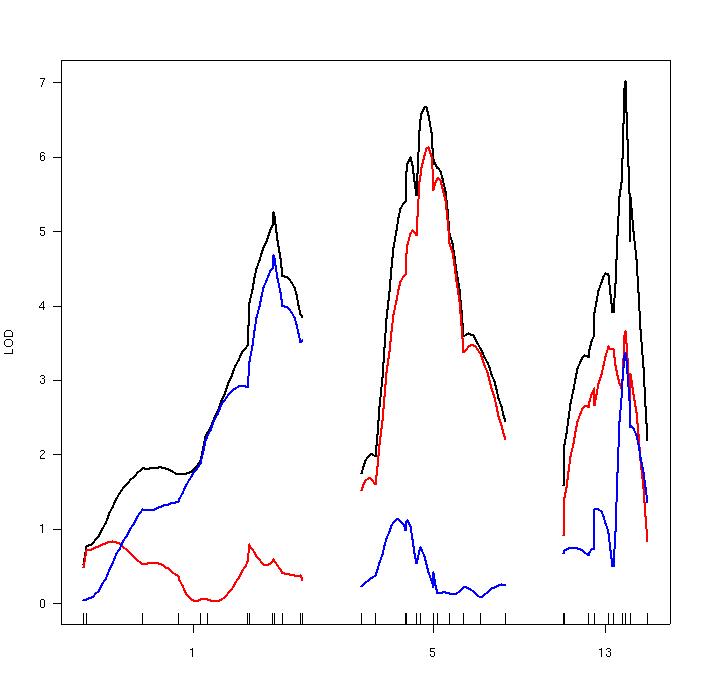 Plot of LOD curves from
  genome scan