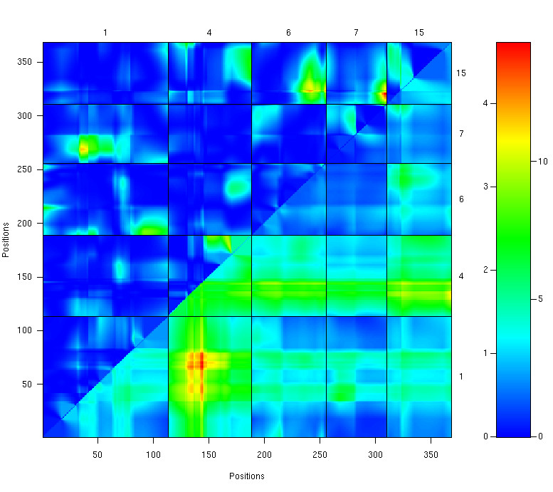 Plot of LOD scores from
  two-dimensional, two-QTL genome scan